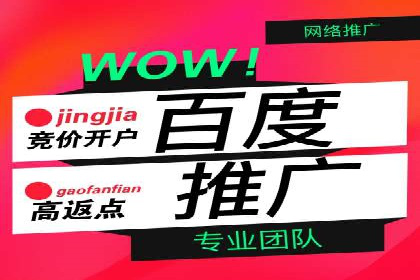 SEM广告投放的优化技巧与实战案例分享